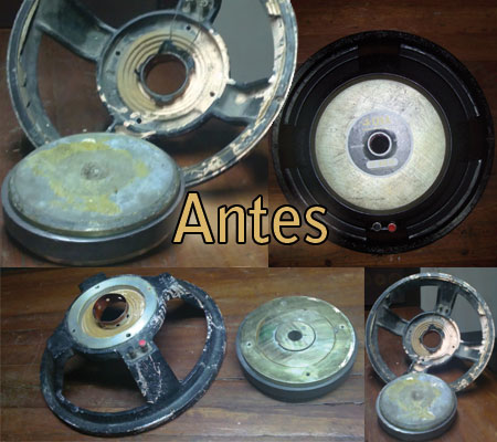 Antes de la reparación de Parlantes Leea 15-300